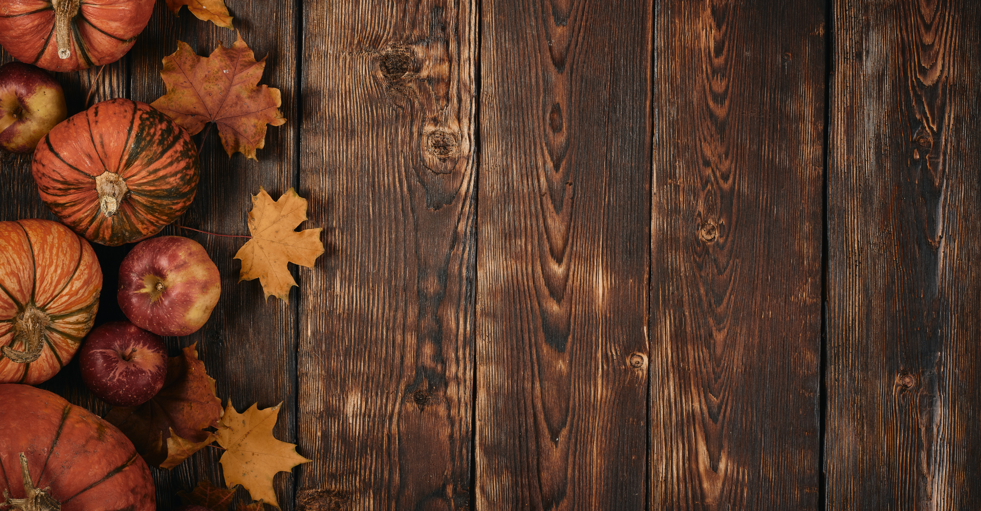 kids playing on newly installed Carpet One vinyl flooring in playroom