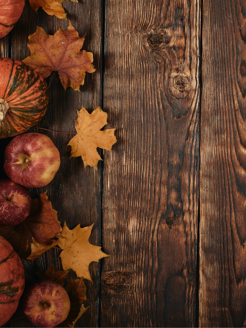 kids playing on newly installed Carpet One vinyl flooring in playroom